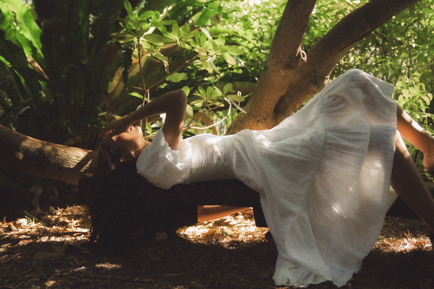 Botanical Gardens — frame 14