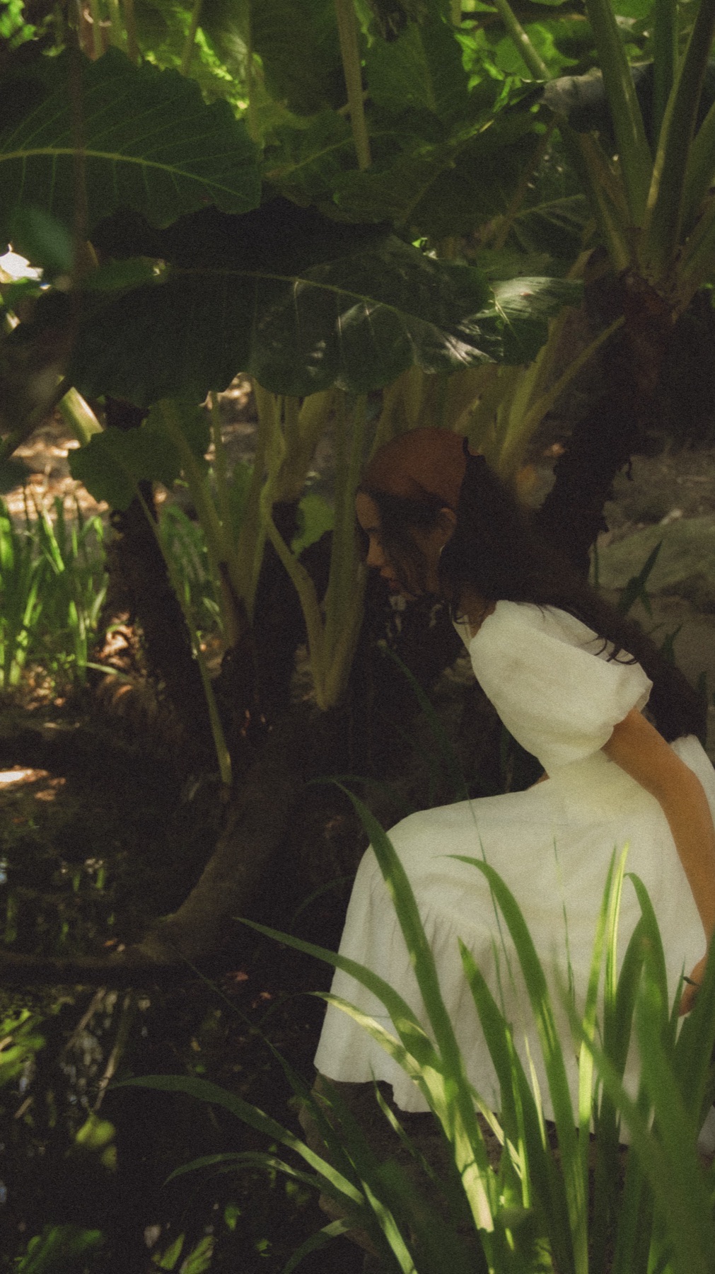 Botanical Gardens — frame 20