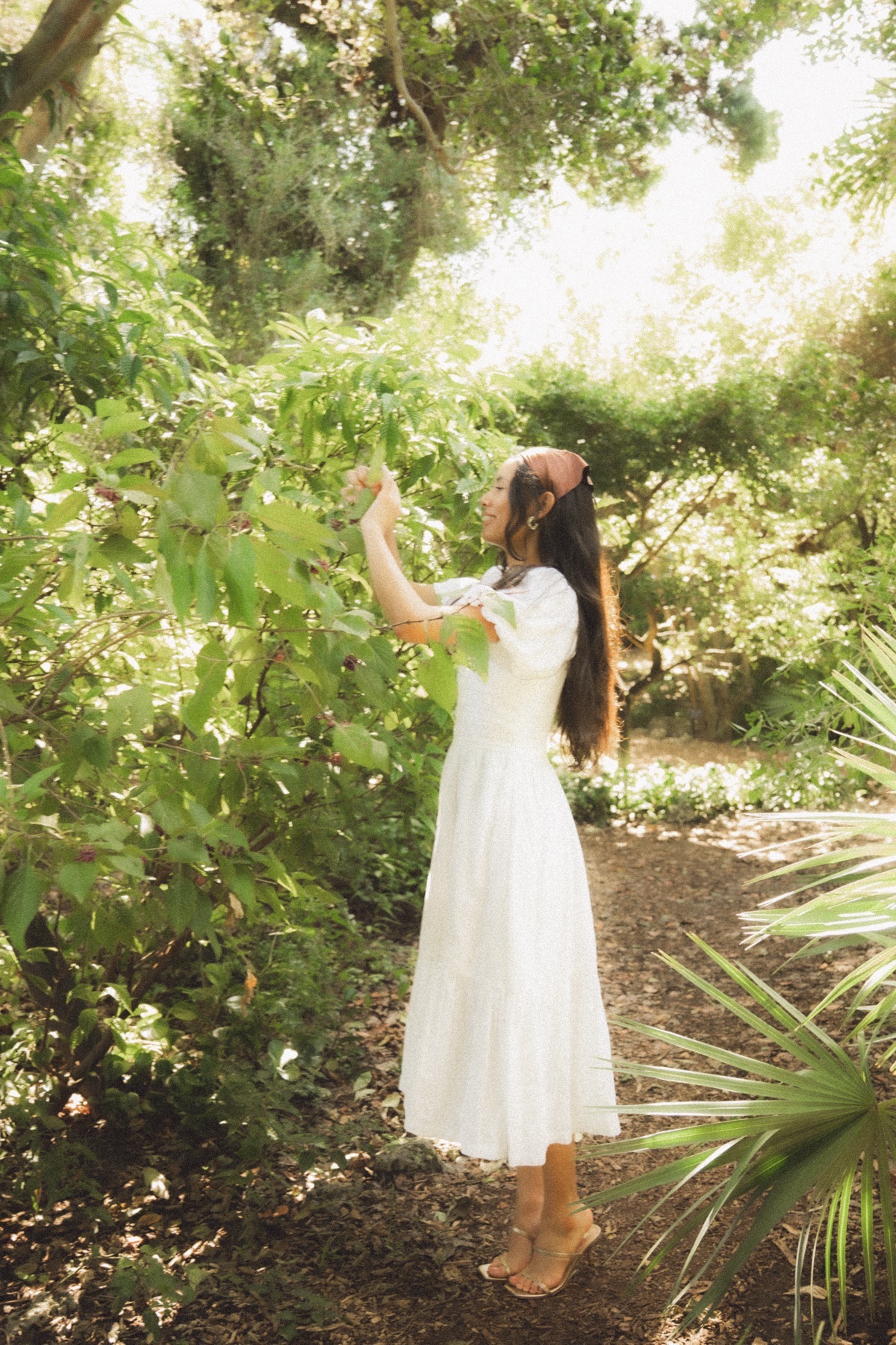 Botanical Gardens — frame 29