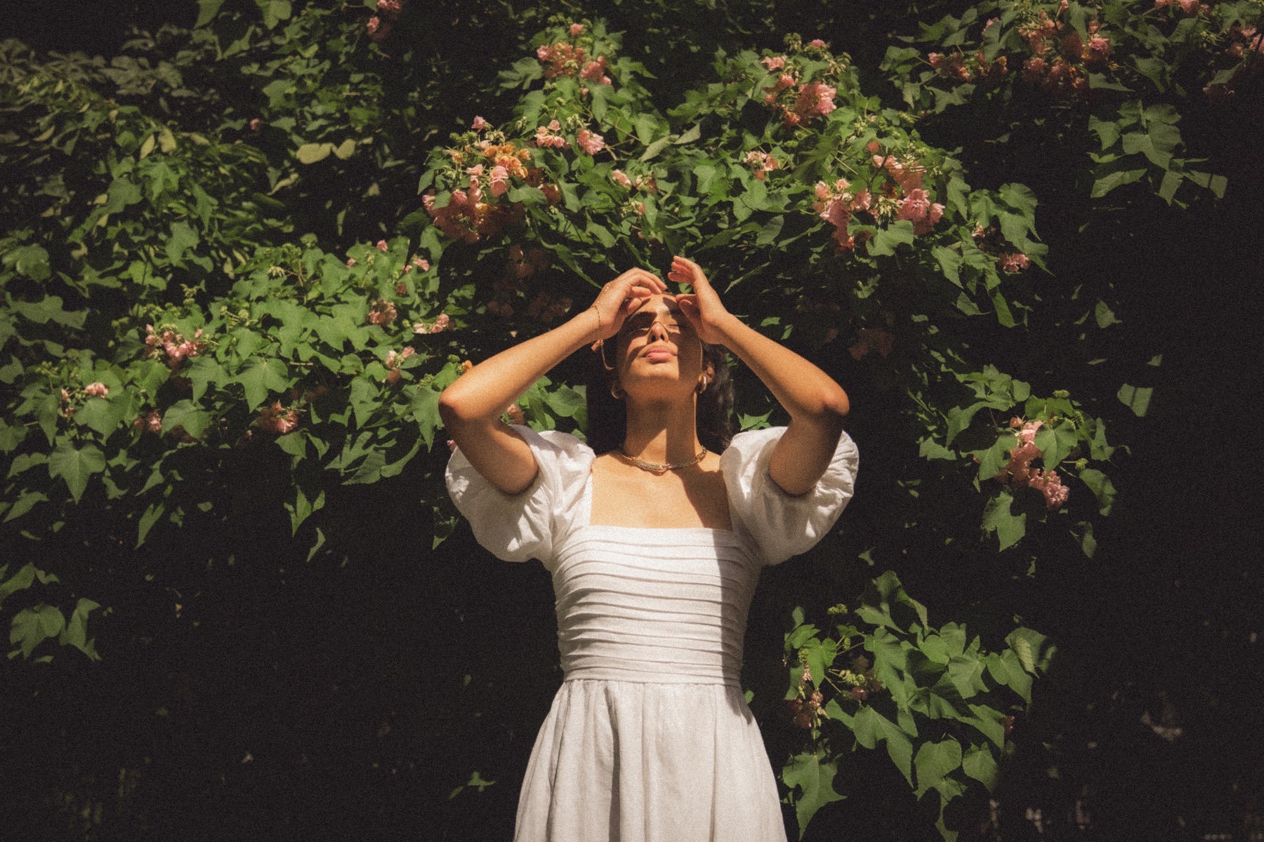 Botanical Gardens — frame 32