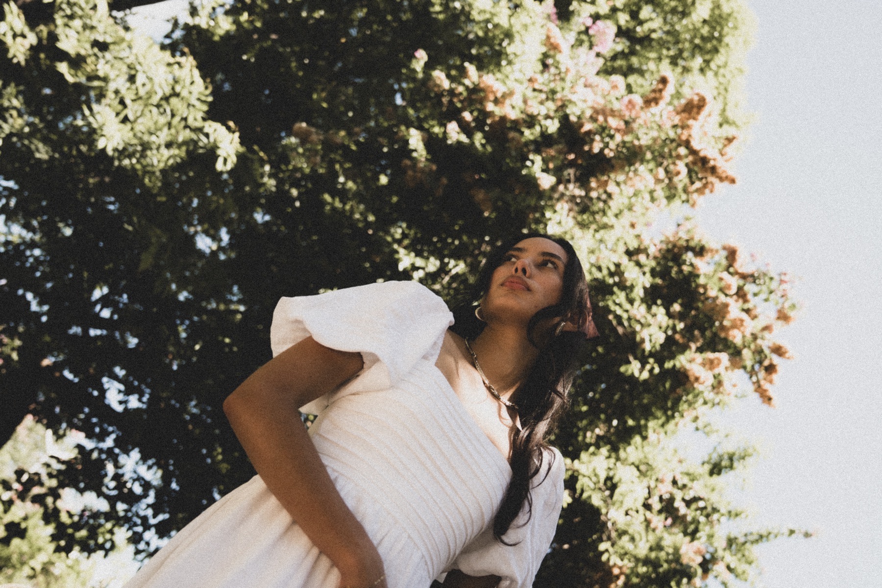 Botanical Gardens — frame 41