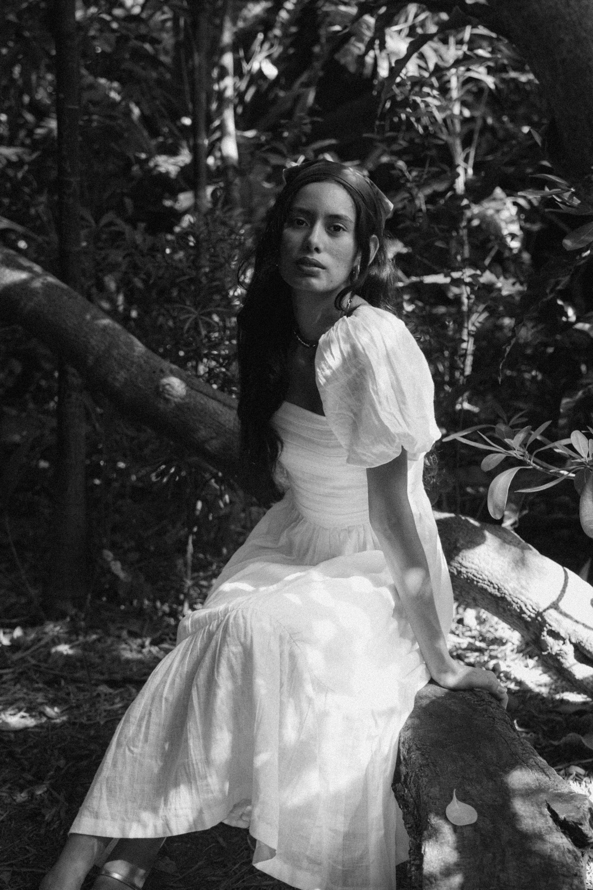 Botanical Gardens — frame 43