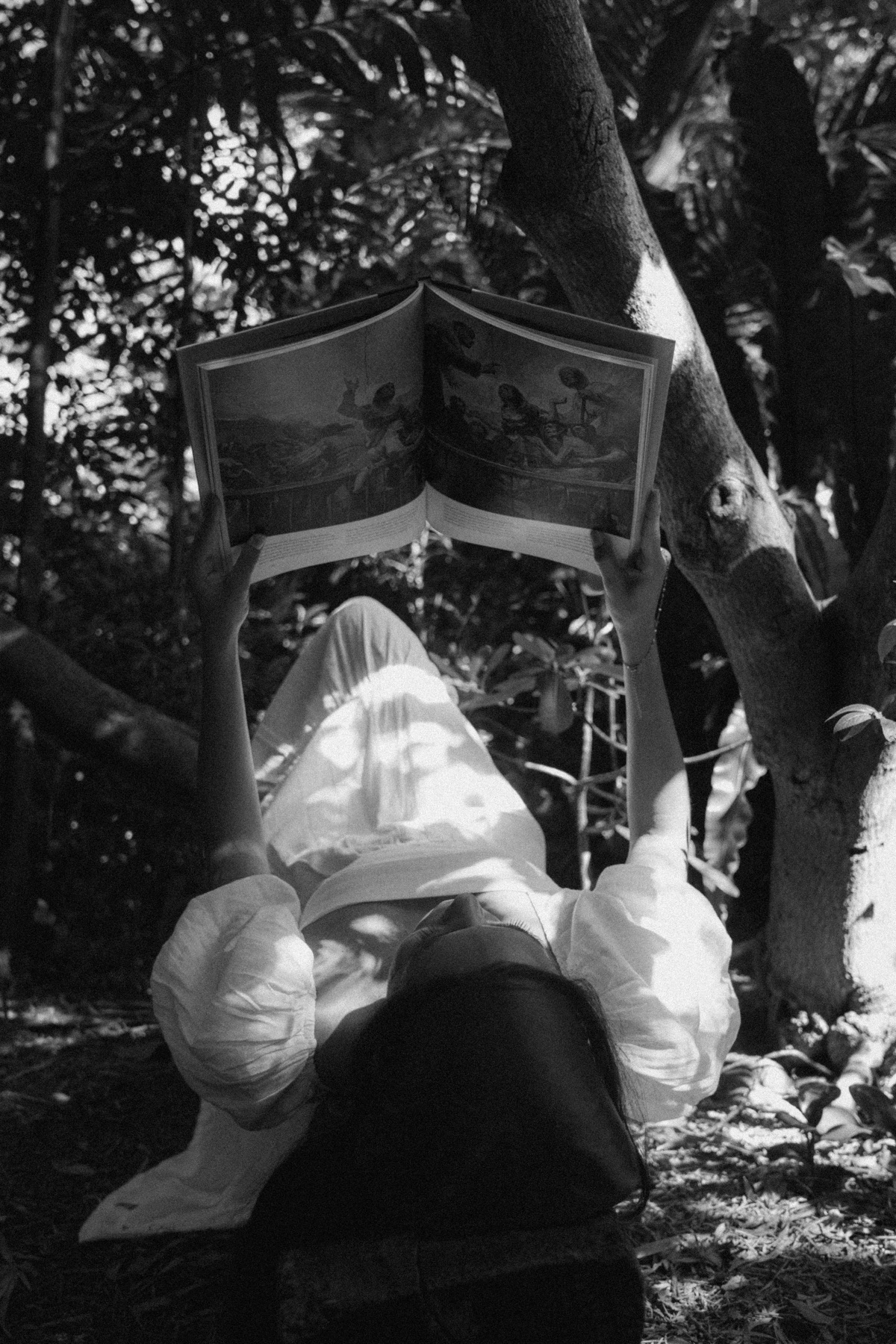 Botanical Gardens — frame 44