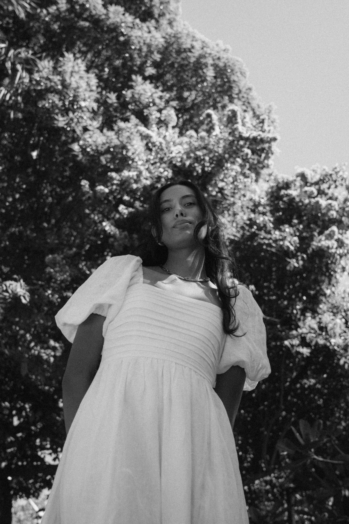 Botanical Gardens — frame 50