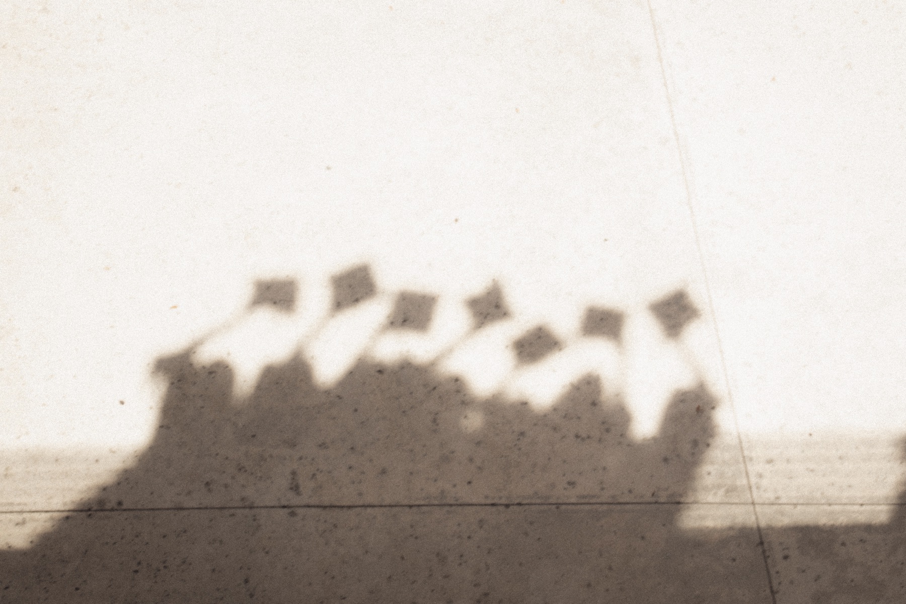 FIU Architecture Students Graduation — frame 15