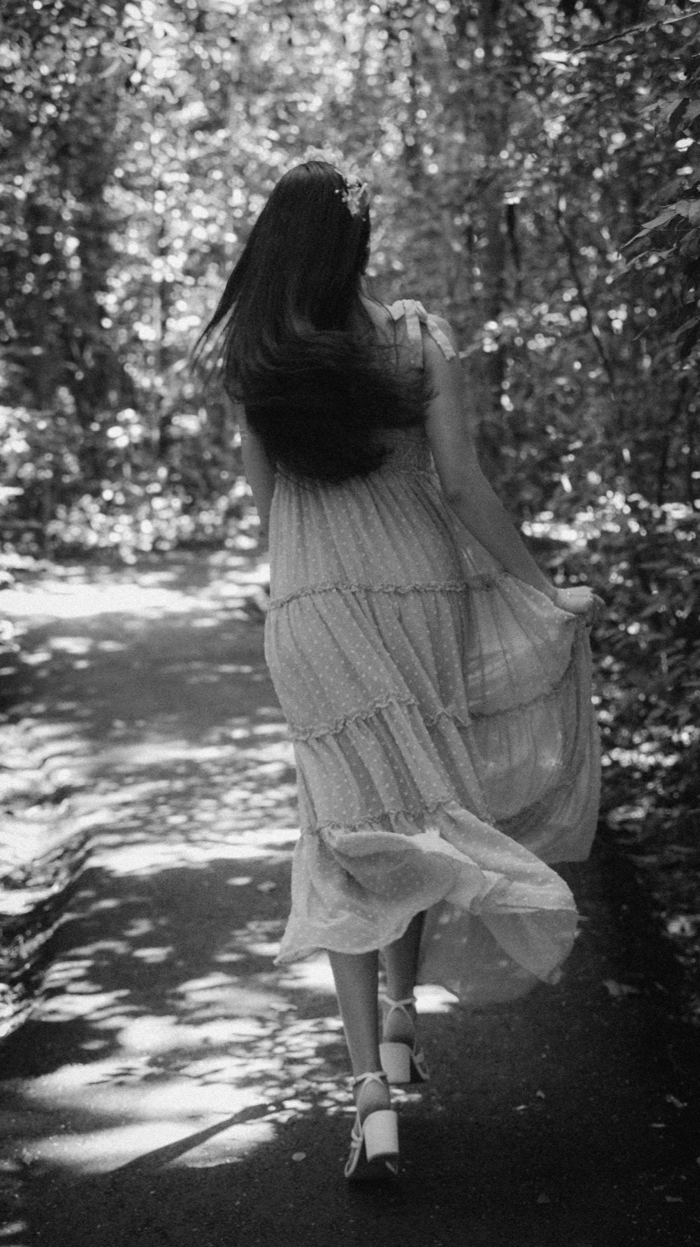 At Vizcaya — frame 50