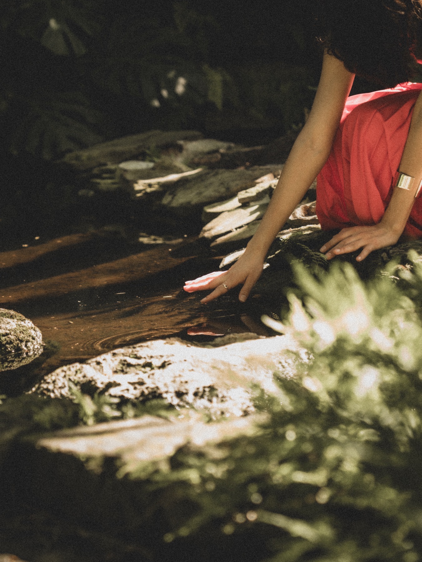 At The Society of the Four Arts — frame 16