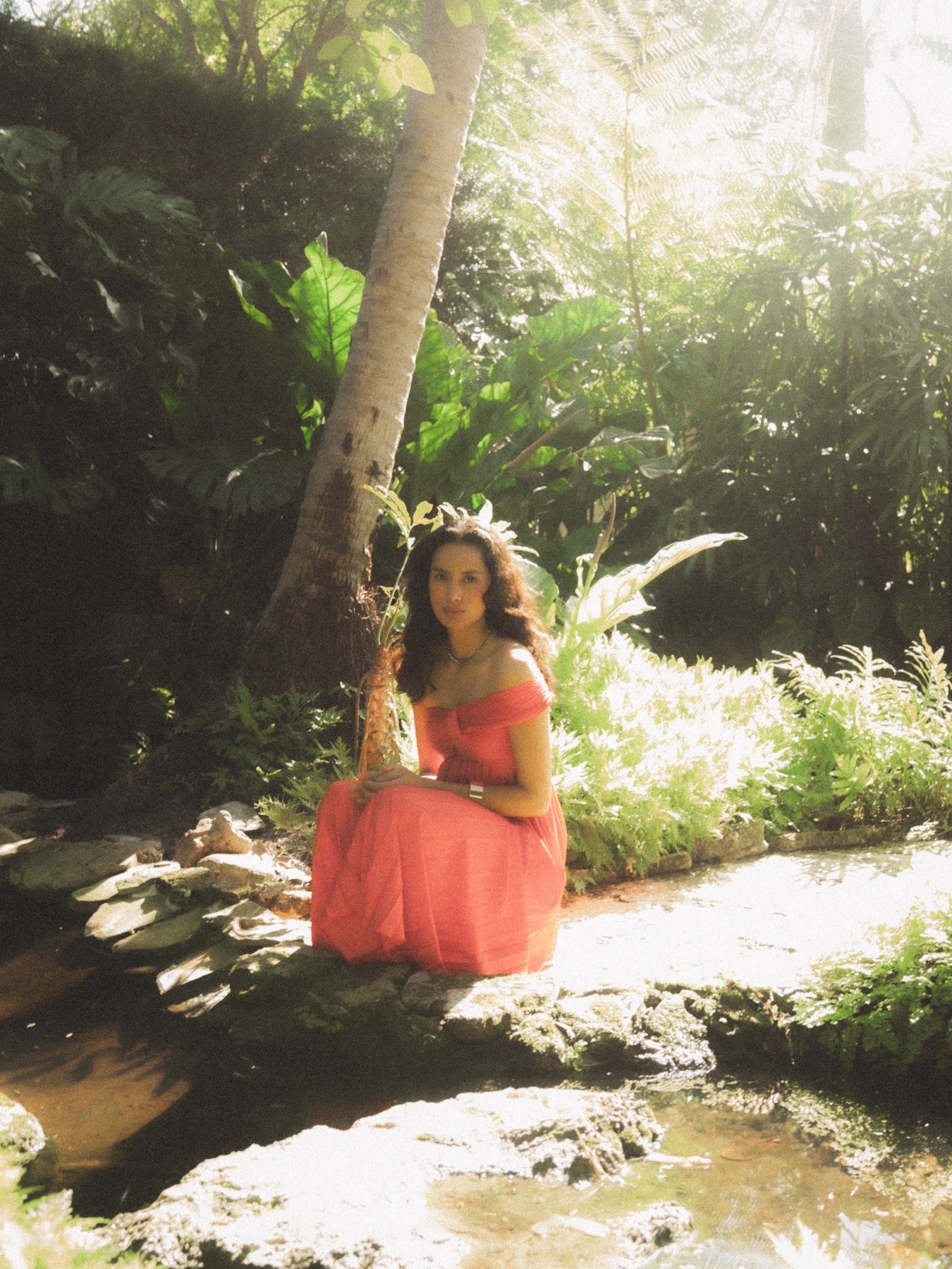 At The Society of the Four Arts — frame 17