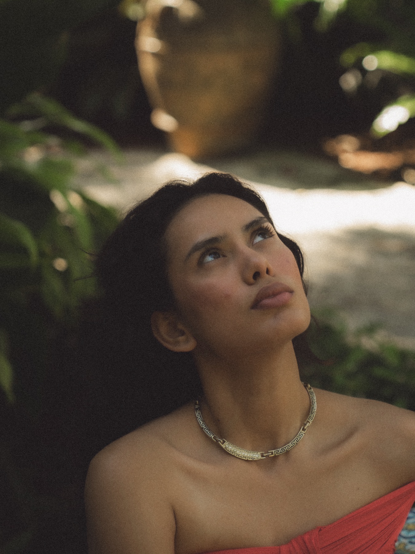 At The Society of the Four Arts — frame 23