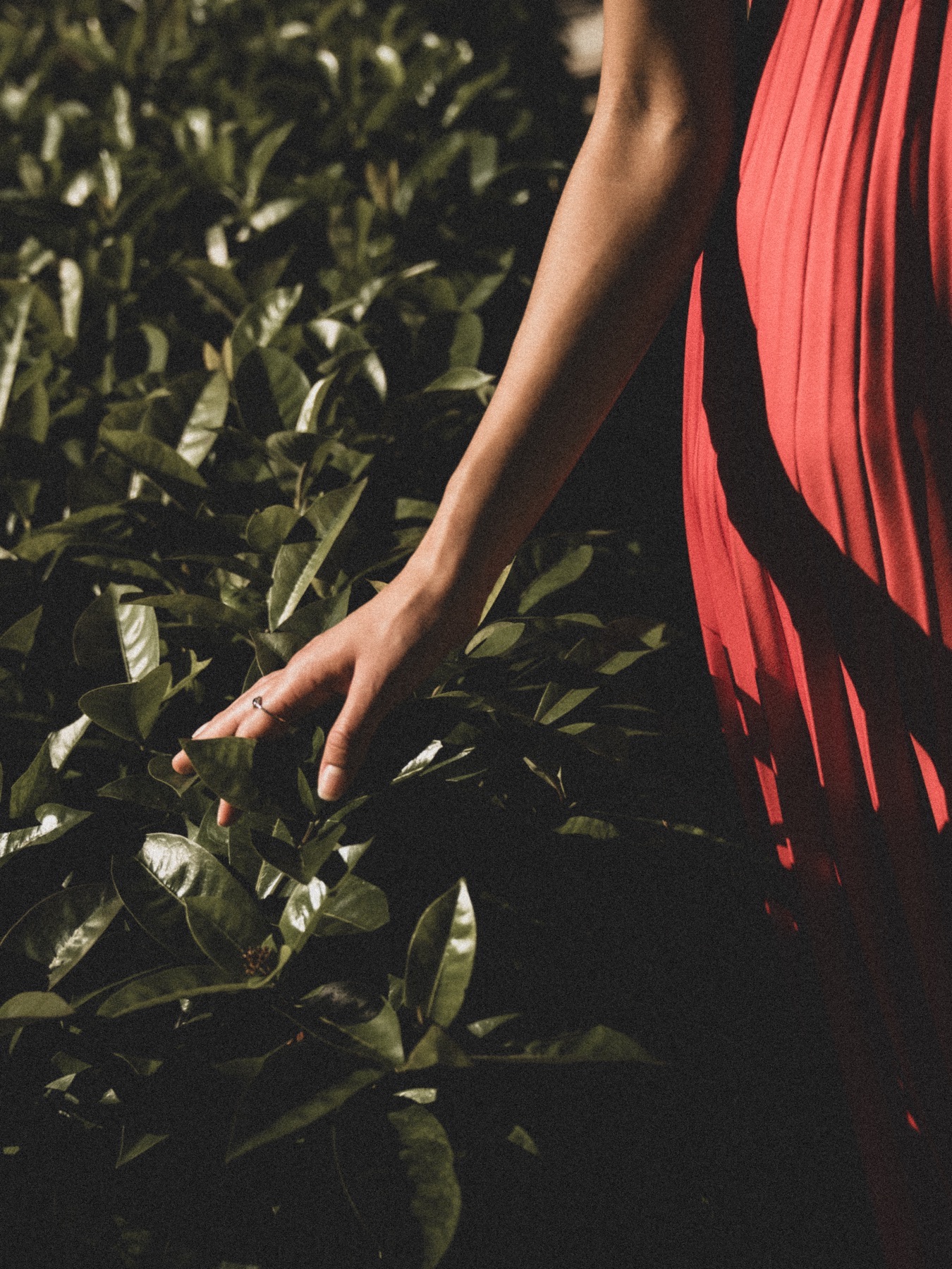 At The Society of the Four Arts — frame 33