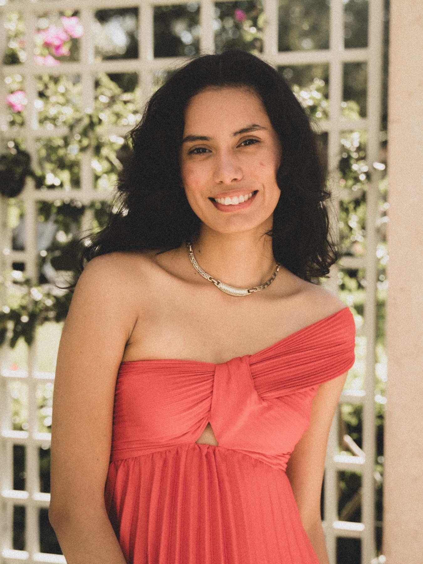 At The Society of the Four Arts — frame 34